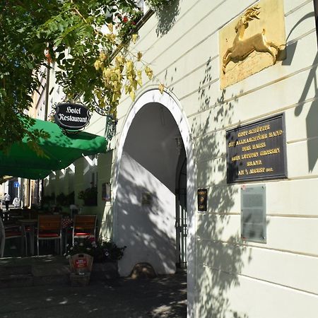 Akzent Hotel Goldner Hirsch 卡门茨 外观 照片